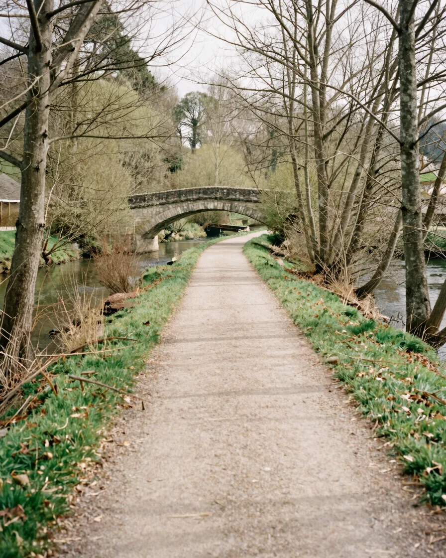 Documentary photograph of a footpath along a wooded riverbank in